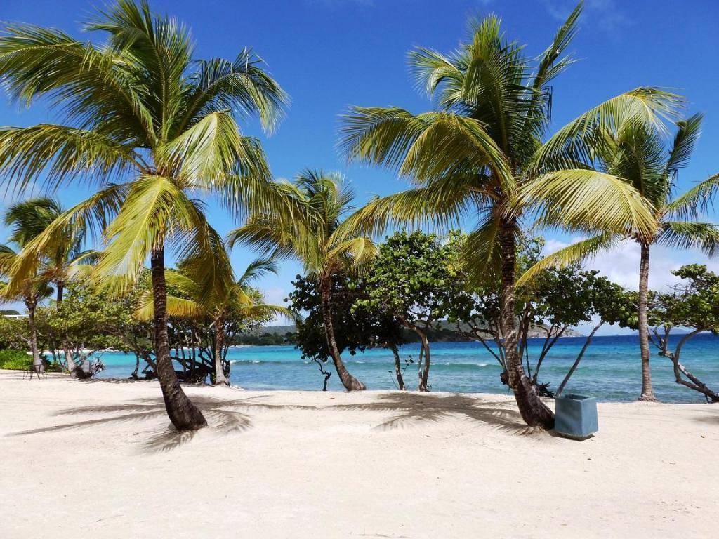 Sapphire Beach Resort And Marina East End (Saint Thomas) Exterior foto